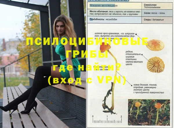 MESCALINE Новодвинск