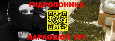 мяу мяу мука Гай