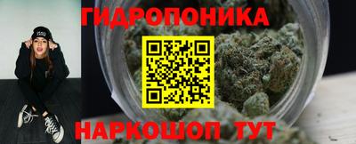 мяу мяу мука Гай