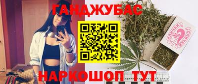 мяу мяу мука Гай