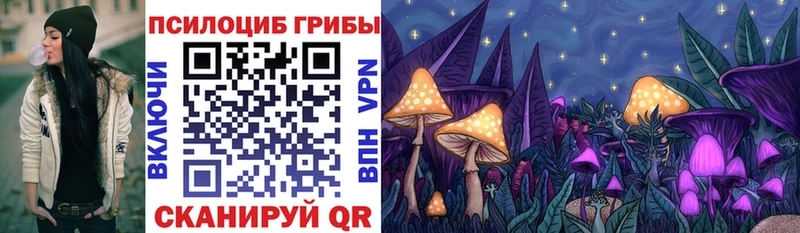 Псилоцибиновые грибы Psilocybe  Ижевск 
