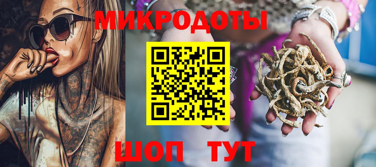 Галлюциногенные грибы Psilocybe Ижевск