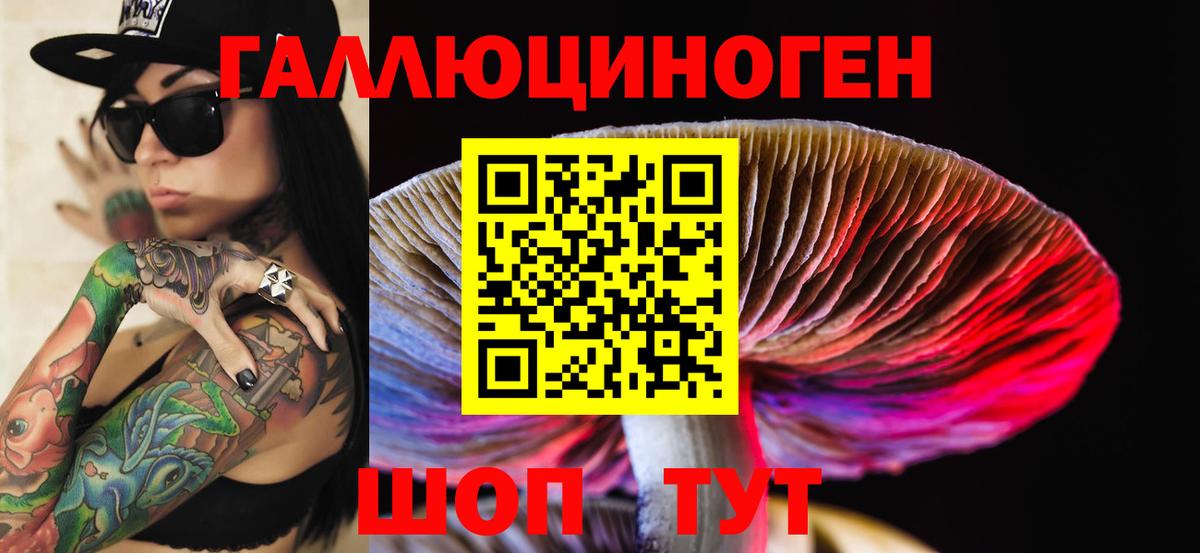 Псилоцибиновые грибы прущие грибы  Ижевск 