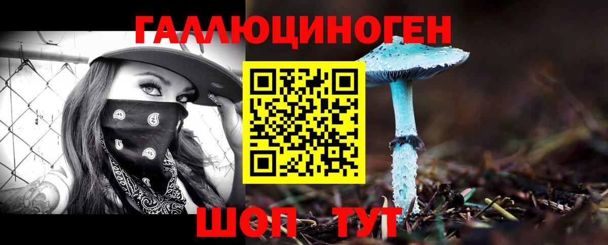 Псилоцибиновые грибы GOLDEN TEACHER  Вход с VPN  Ижевск  Галлюциногенные грибы Psilocybe 